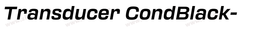 Transducer CondBlack字体转换